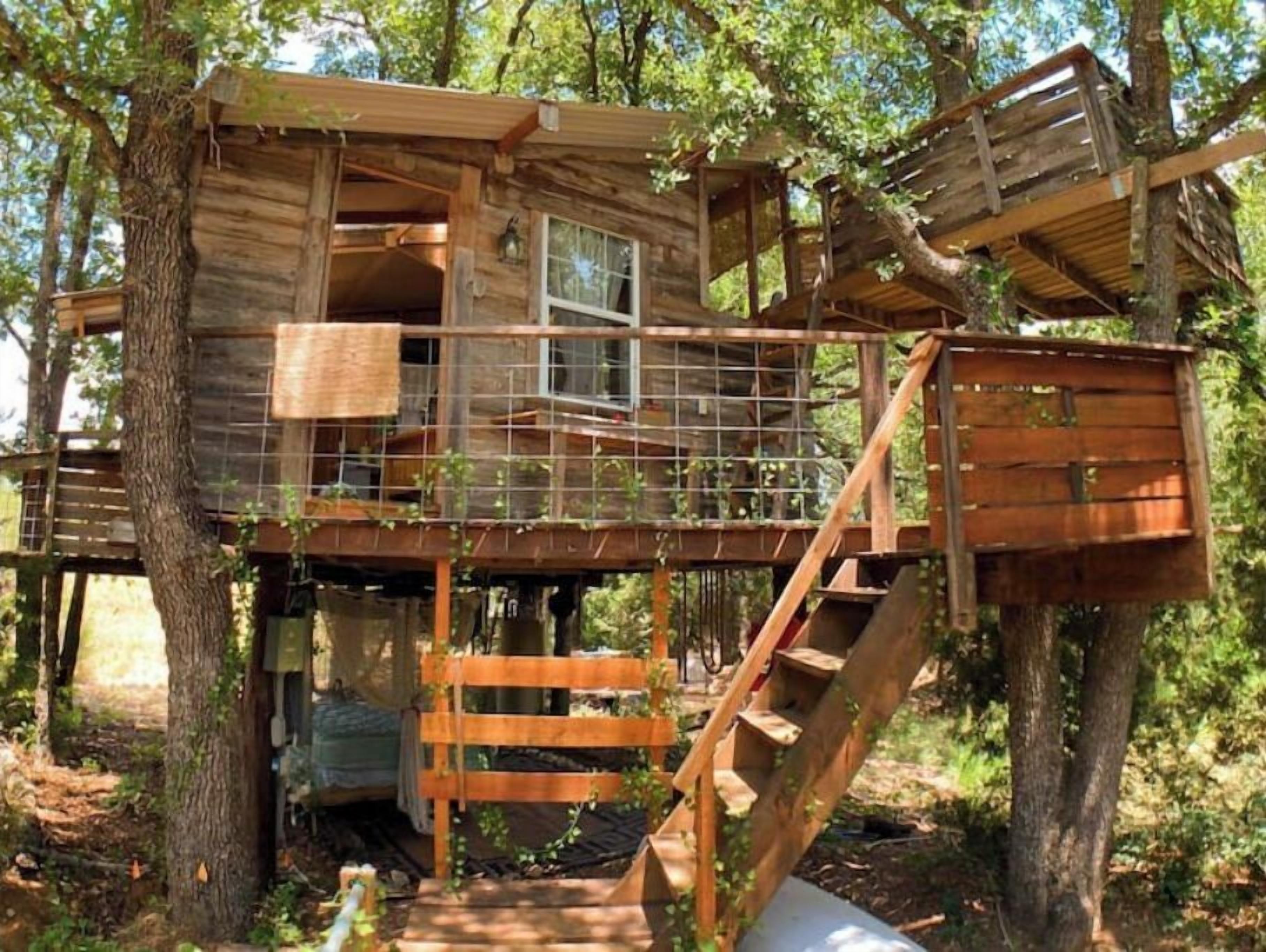 a real treehouse Robin's Nest