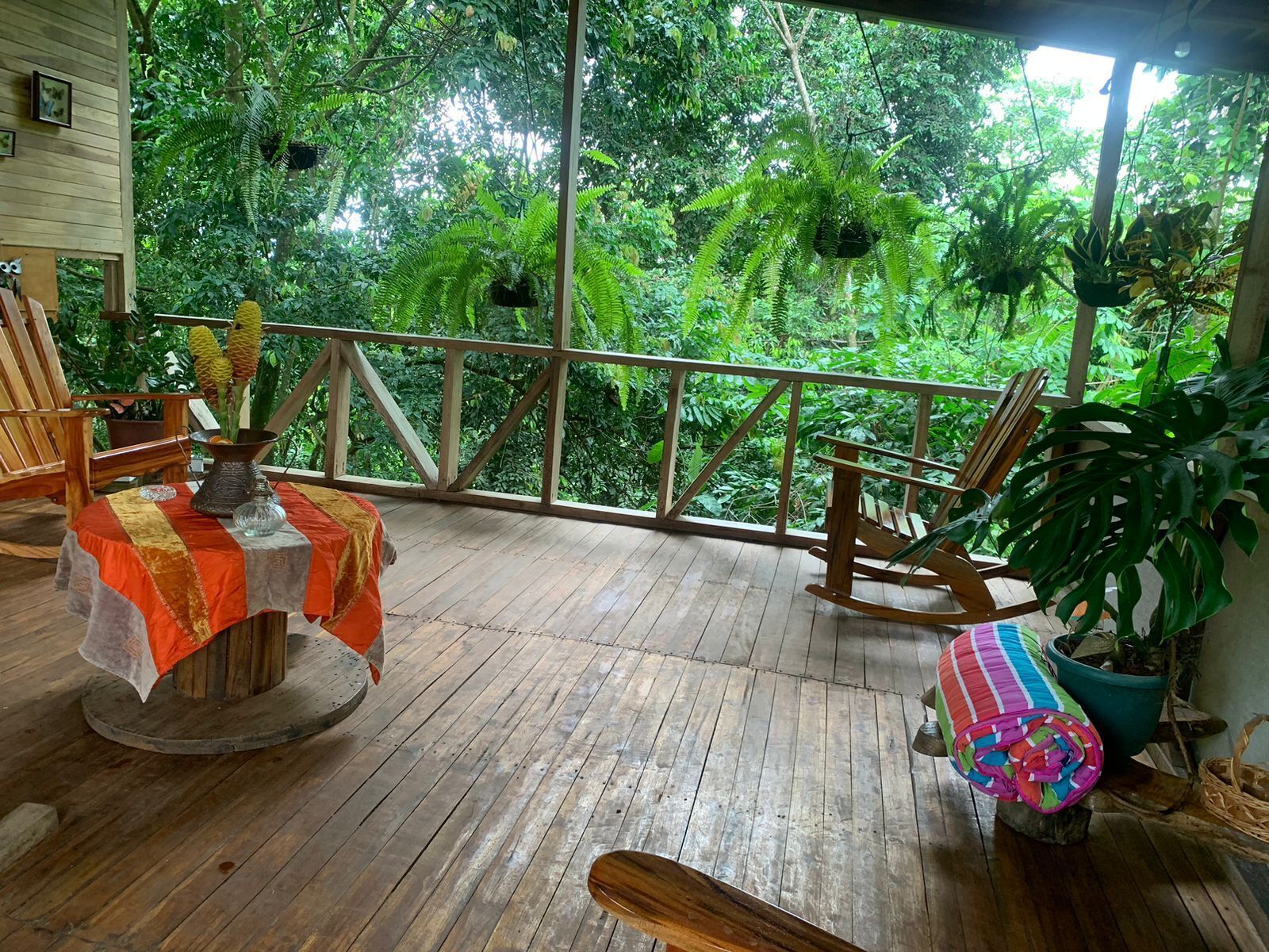 Terraza o patio