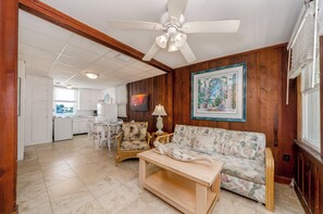 TV, fireplace, DVD player