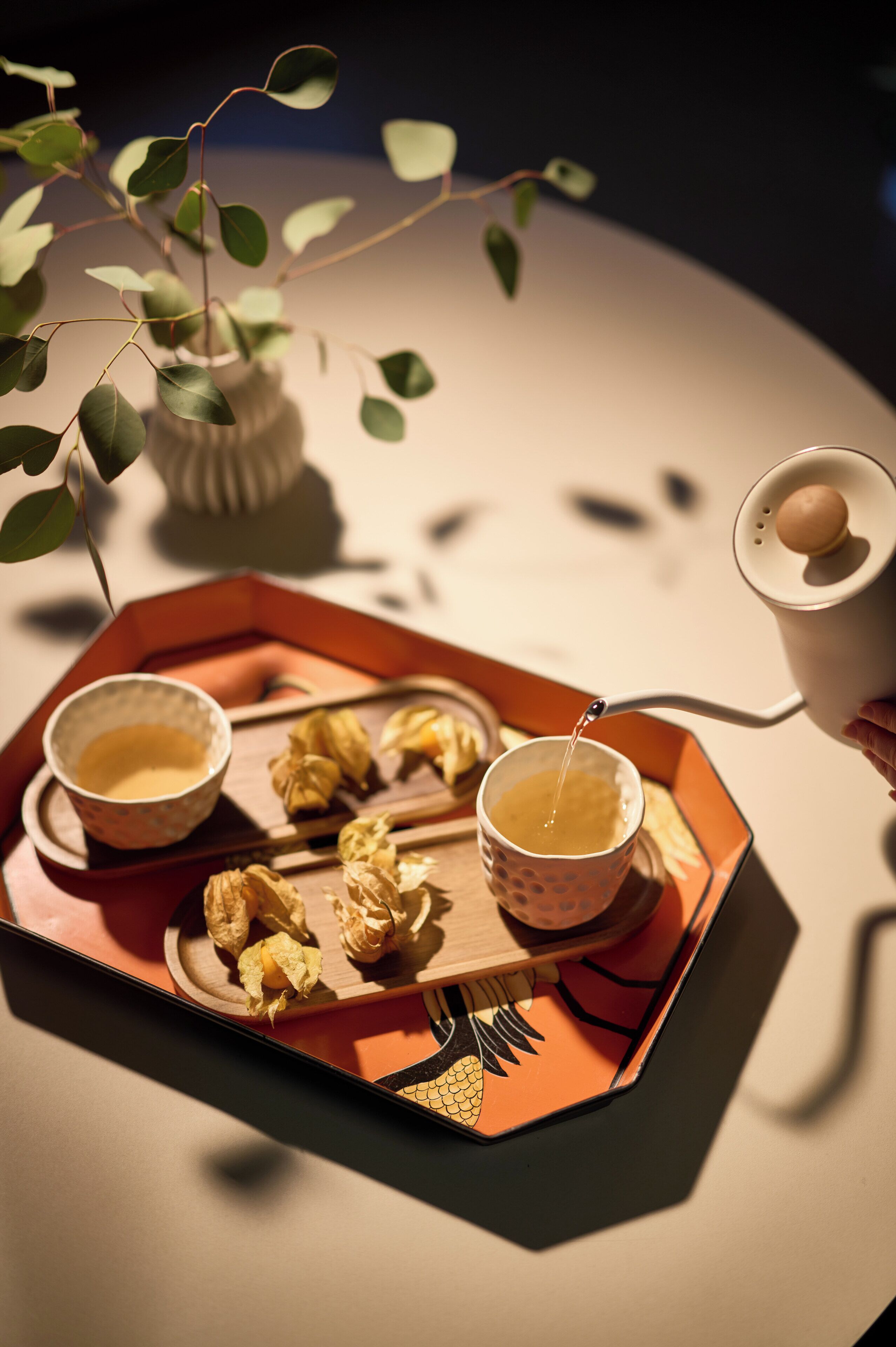 A tray with two cups of tea, a bowl of nuts, and a plant.
