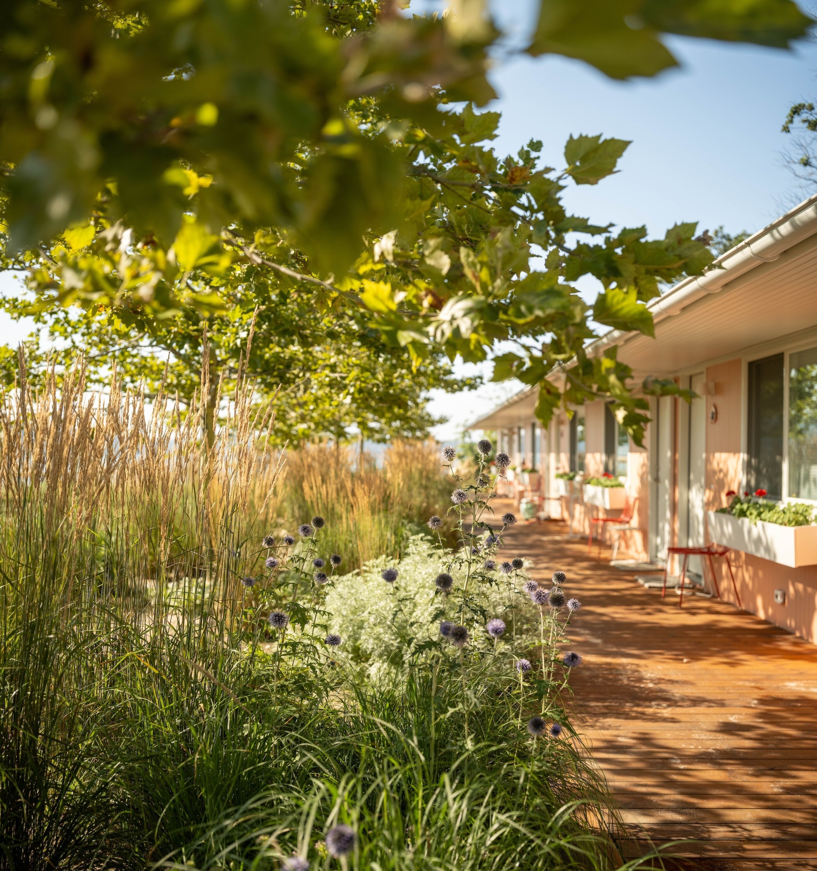 部屋からの景観