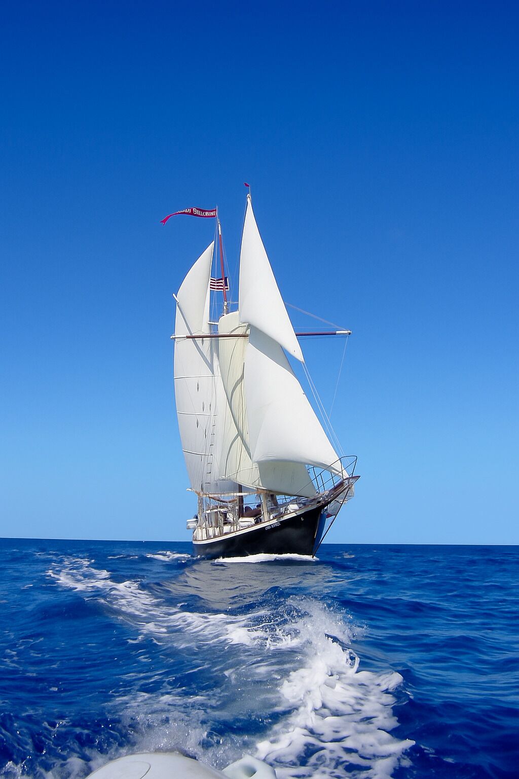 Un velero con casco y velas blancas navegando sobre un mar azul y despejado.