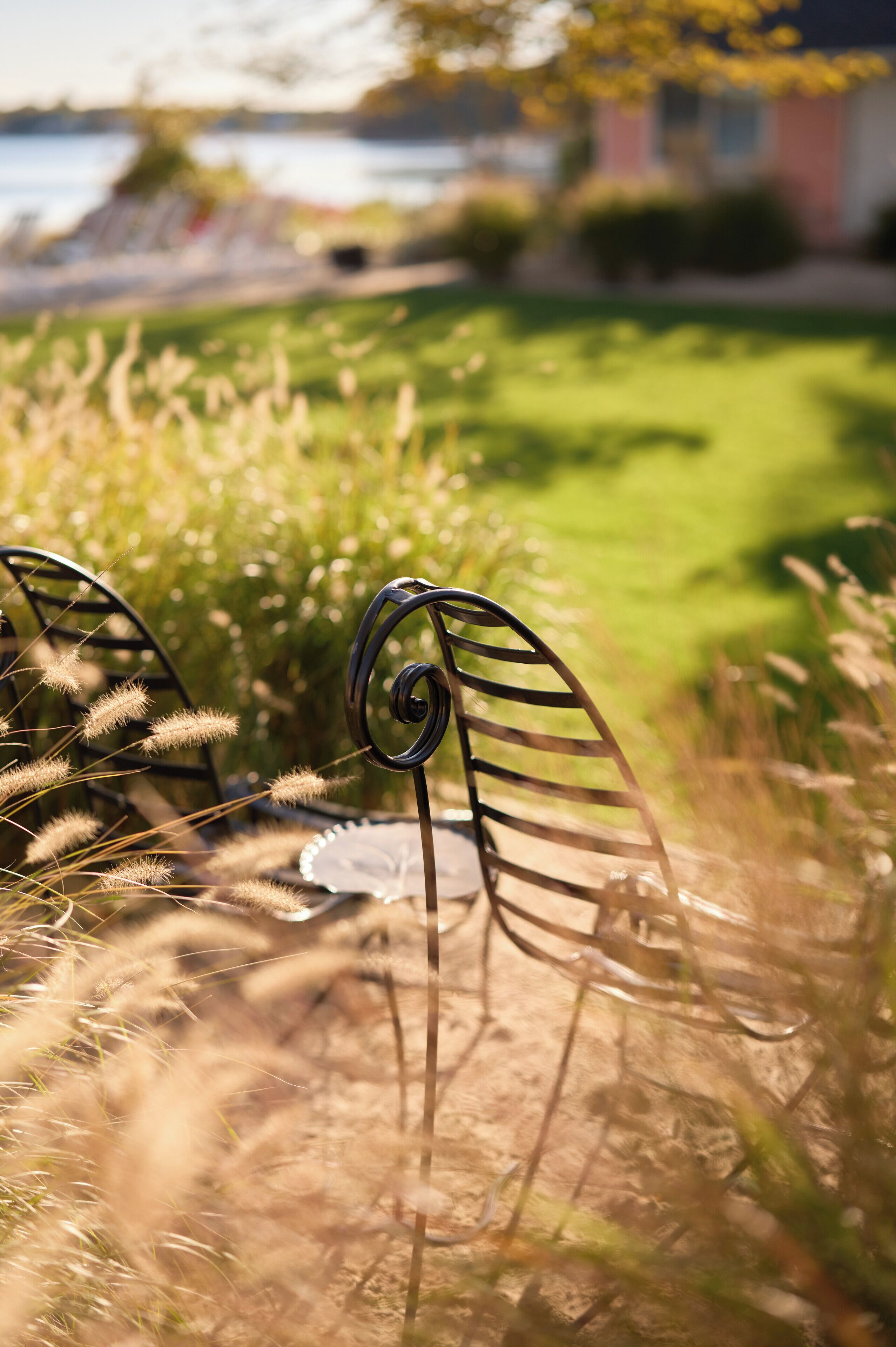 A metal chair with a spiral design, surrounded by tall grass and a blurred background of a house and greenery.
