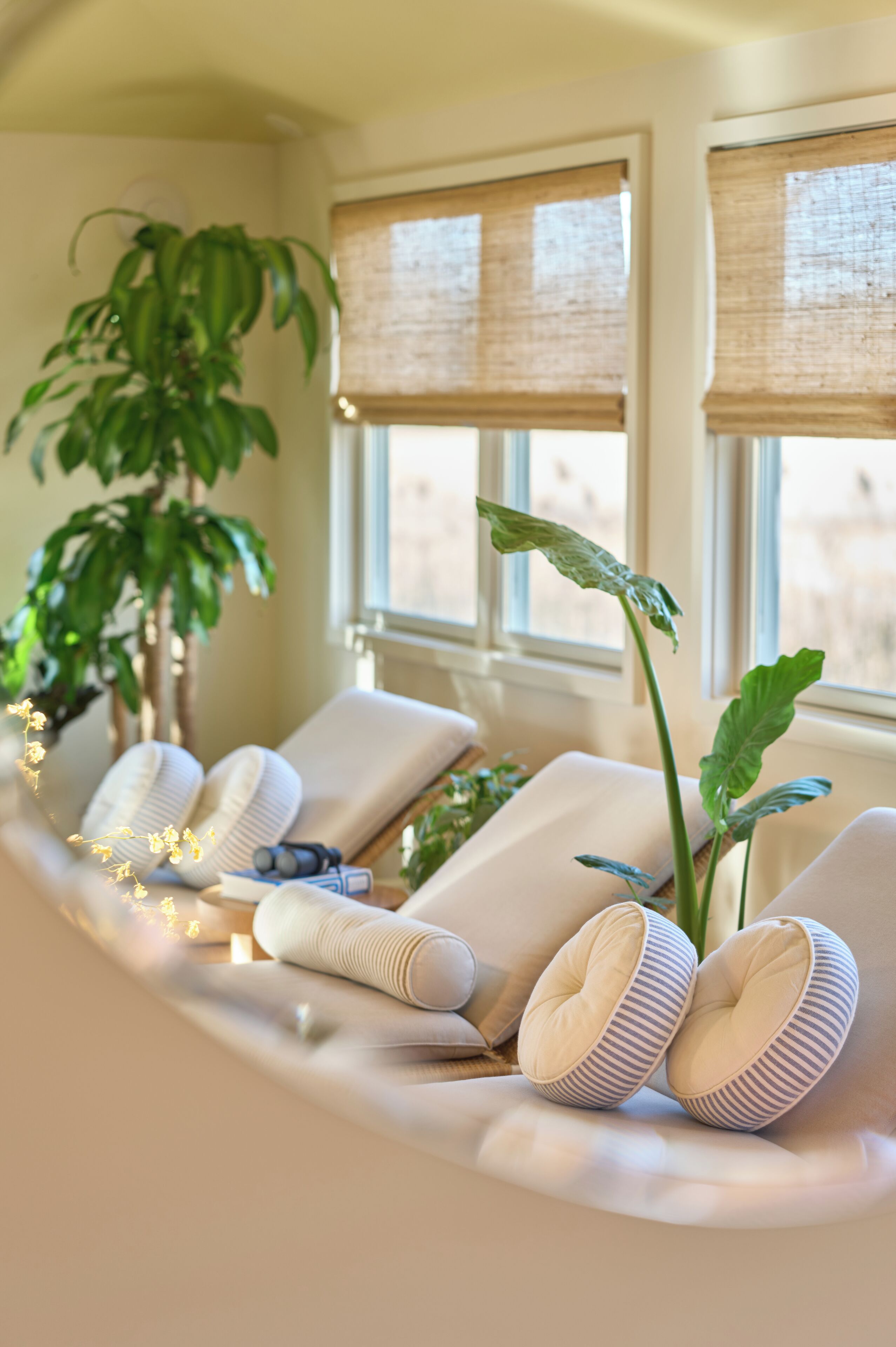 Een sauna, een stoombad, hydrotherapie, aromatherapie