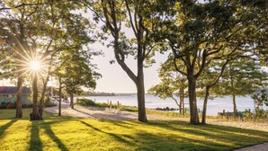 A grassy area with trees and a view of a body of water. - Silver Sands Motel & Beach Bungalows (Greenport)