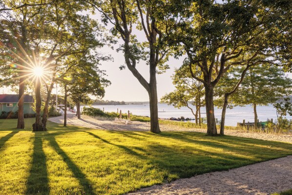Une zone herbeuse avec des arbres et une vue sur une étendue d’eau.