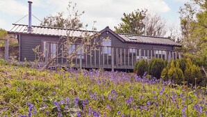 Una casa con techo de metal y chimenea, rodeada por un campo de flores moradas.
