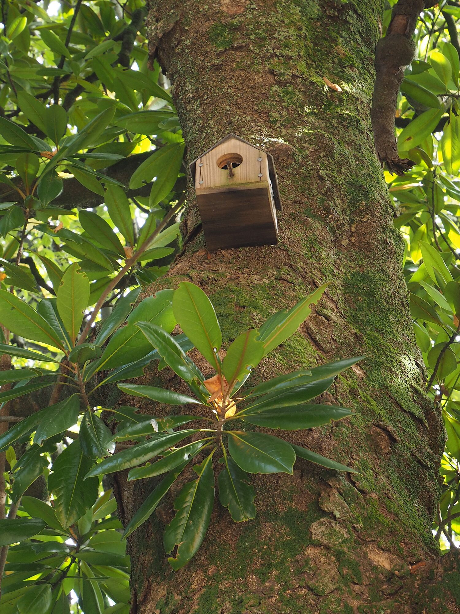 Foto - Hotel Alcazar Irun