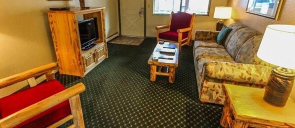 TV, books, video library