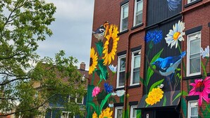 Een gebouw met een muurschildering van vogels en bloemen op de gevel.