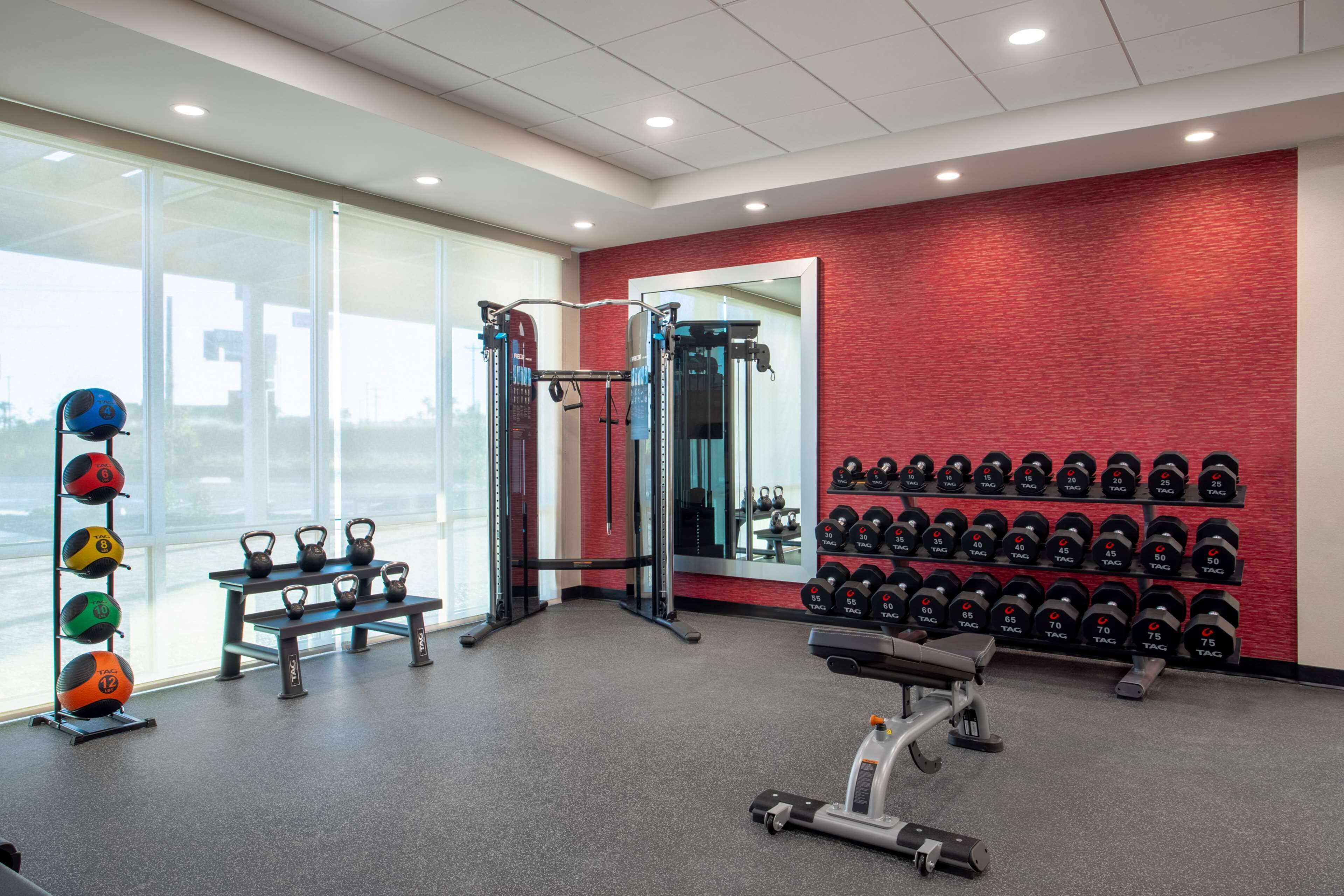 Ein Fitnessstudio mit Kettlebells, Kurzhanteln, einer Bank und einem Squat-Gestell.