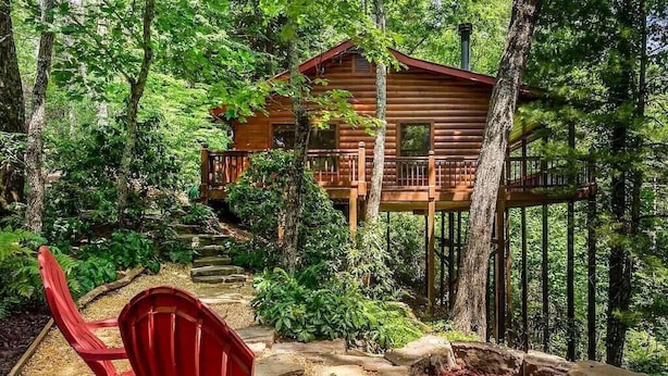 Une cabane en bois dotée d’une terrasse, entourée d’une forêt dense.