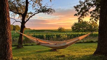 A hammock between trees in a grassy field with a sunset in the background.