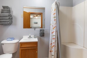 Shower, hair dryer, towels