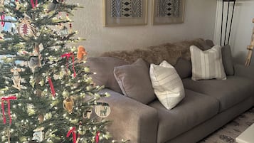 Smart TV, fireplace, books