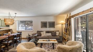 Smart TV, fireplace, books