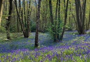 Dining - Peak District, Hillside  Retreat, panoramic views, Nr Bakewell & Chatsworth  (Rowsley)