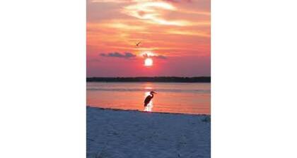 Relax in the Countryside: Enjoy a Vacation in a 3 Bedroom Farm House!