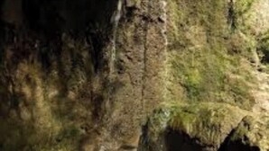 A narrow, rocky path leading into a cave with a small pool at the end. - Relax in the Countryside: Enjoy a Vacation in a 3 Bedroom Farm House! (Lucedale)