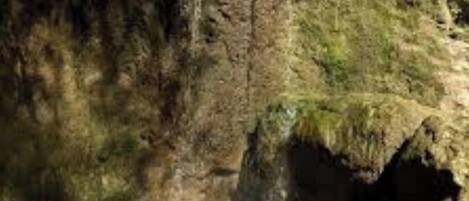 Terrain de lâhĂ©bergement