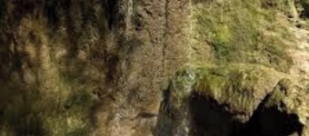 Relax in the Countryside: Enjoy a Vacation in a 3 Bedroom Farm House!