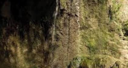 Relax in the Countryside: Enjoy a Vacation in a 3 Bedroom Farm House!