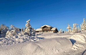 Exterior - Amazing home in Nissedal with lake view (Nissedal)