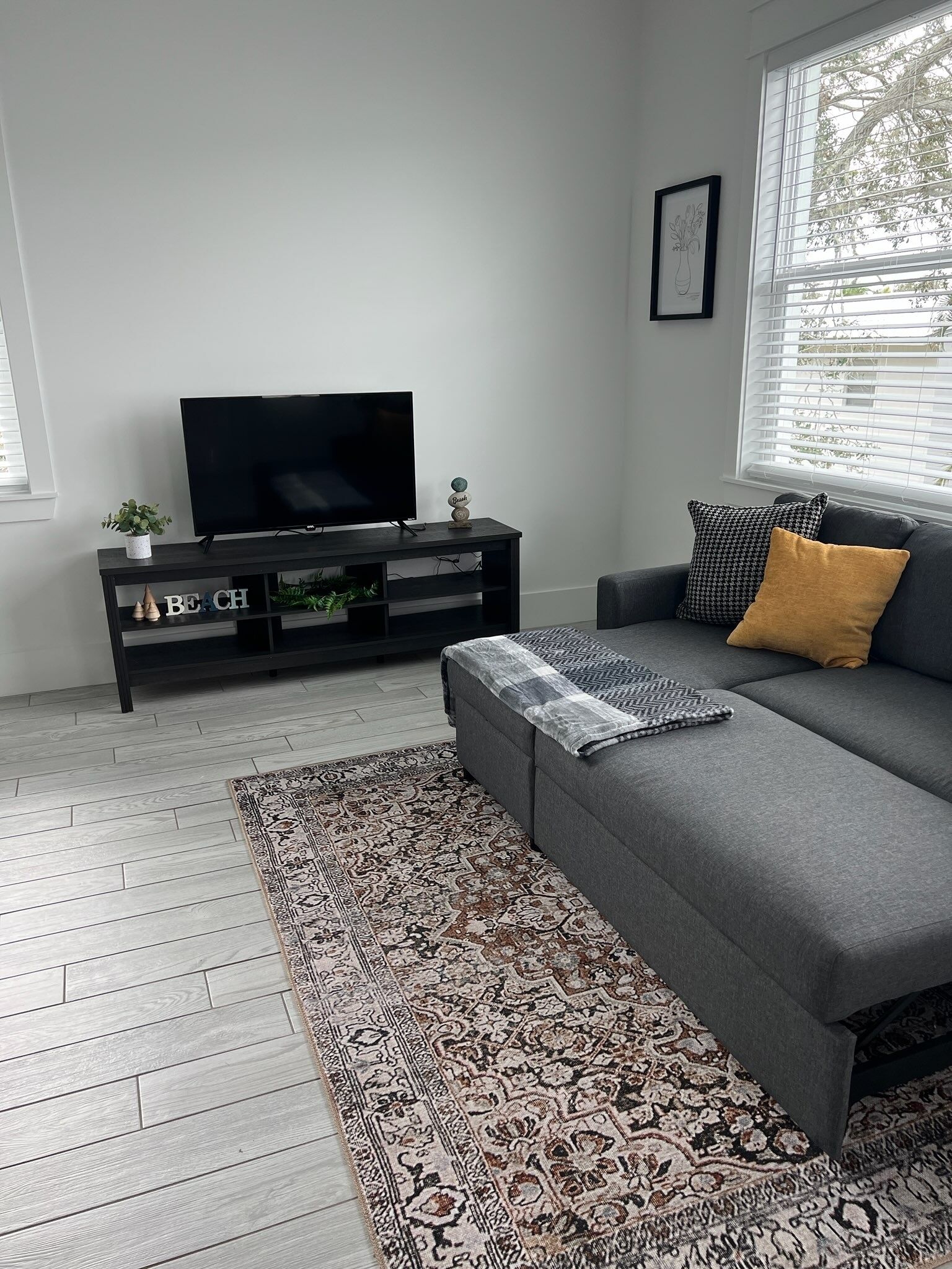A modern living room with a grey sofa, a black TV stand, and a patterned rug.