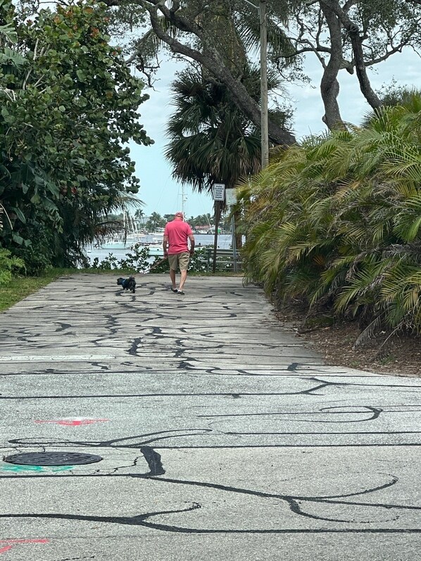 A man walking down a pathway with graffiti, surrounded by greenery and a body of water in the background.