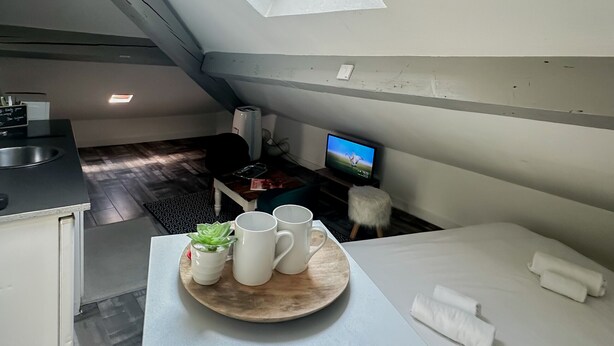 Ett modernt och kompakt rum med ett takfönster, ett litet pentry, en tv och en mysig sittgrupp med en växt och muggar.