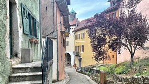 A narrow cobblestone street flanked by historic buildings with stone steps leading to a door. - Nemours du château emplacement de rêve (Annecy)