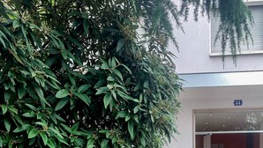 Entrada de un edificio con puerta de vidrio, cerca metálica y un jardín bien cuidado con un objeto esférico.