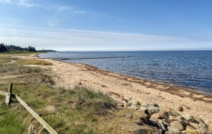 Tæt på stranden, fiskeri