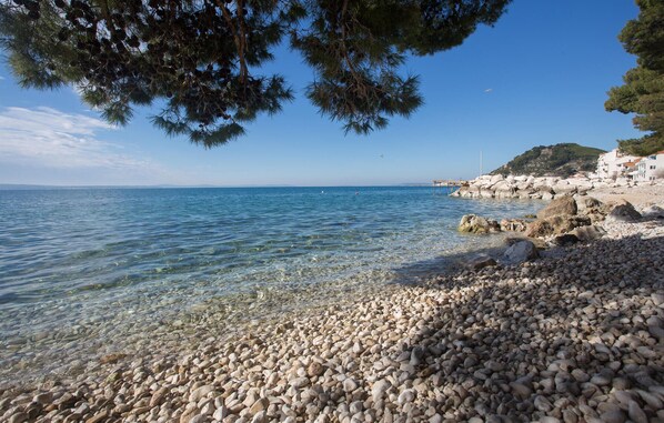 بالقرب من الشاطئ