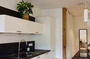 Fridge, microwave, oven, dishwasher - Beau rivage 3* - OG IMMO (Annecy)