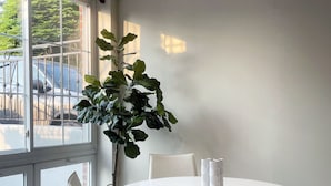 Ein moderner Essbereich mit einem runden weißen Tisch, weißen Stühlen und einer großen Kühlpflanze.