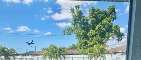 Een buitenzwembad, een verwarmd zwembad