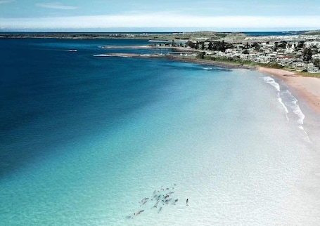 Beach nearby, beach towels. Shellharbour Beach side. PET friendly. Beach, lake. Fish surf swim SUP dive