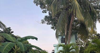 this place will bring lots of peace to enjoy the sun and the beach!