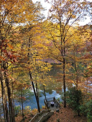 Property grounds - Lake View Log Cabin Hot Tub, Games, beautiful view! minutes of famous Blue Ridge (Blue Ridge)
