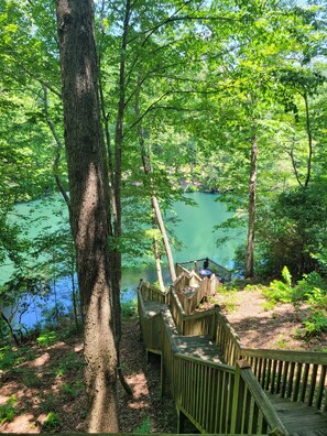 Property grounds - Lake View Log Cabin Hot Tub, Games, beautiful view! minutes of famous Blue Ridge (Blue Ridge)