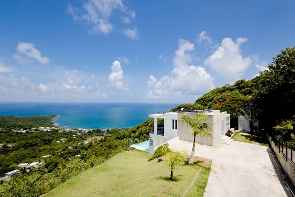 A modern house with a pool, surrounded by lush greenery and a view of the ocean.