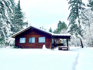 Exterior - Cozy Cabin | Firepit | Hood Canal | ONP (Hoodsport)
