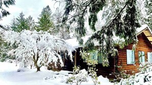 En stuga av trä, omgiven av snötäckta träd.