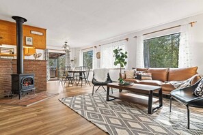 Smart TV, fireplace, DVD player, books