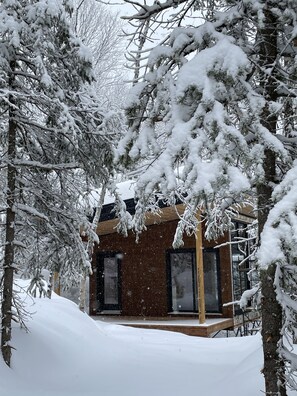A modern house surrounded by snow-covered trees. - Tanières Microchalets (Baie-St-Paul)