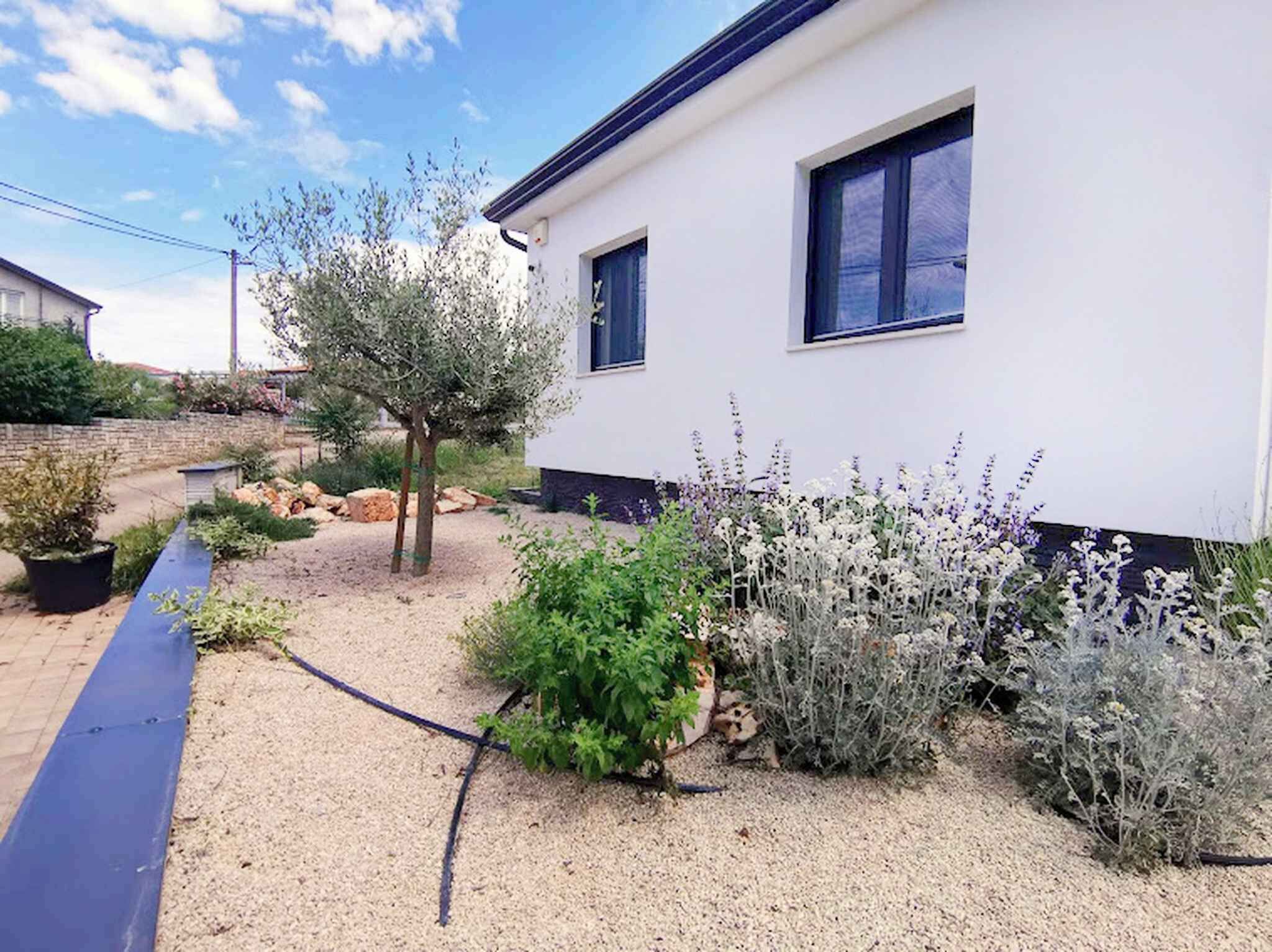 A white building with two windows, surrounded by gravel and various plants.