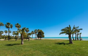 Playa en los alrededores 