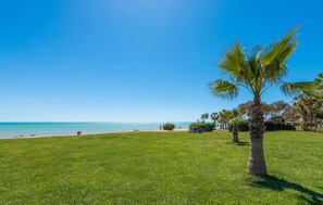 Playa en los alrededores 