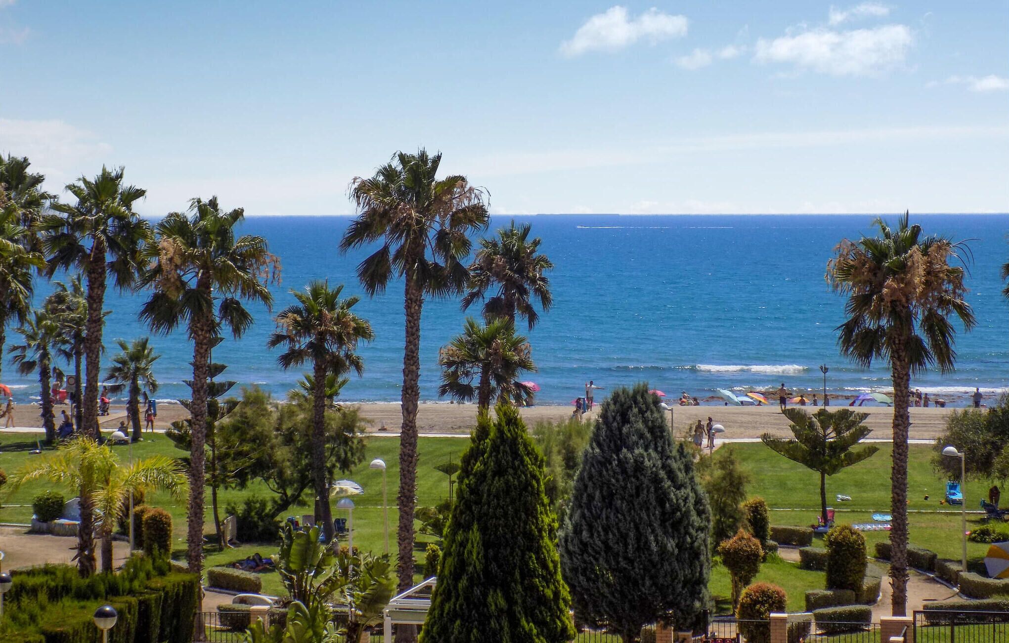 A beach view with palm trees, a clear sky, and a calm sea.